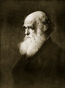 Charles Darwin, print W.W.:n maalauksen mukaan. Ouless, kuvitus kirjasta "Kansakunnan historia"